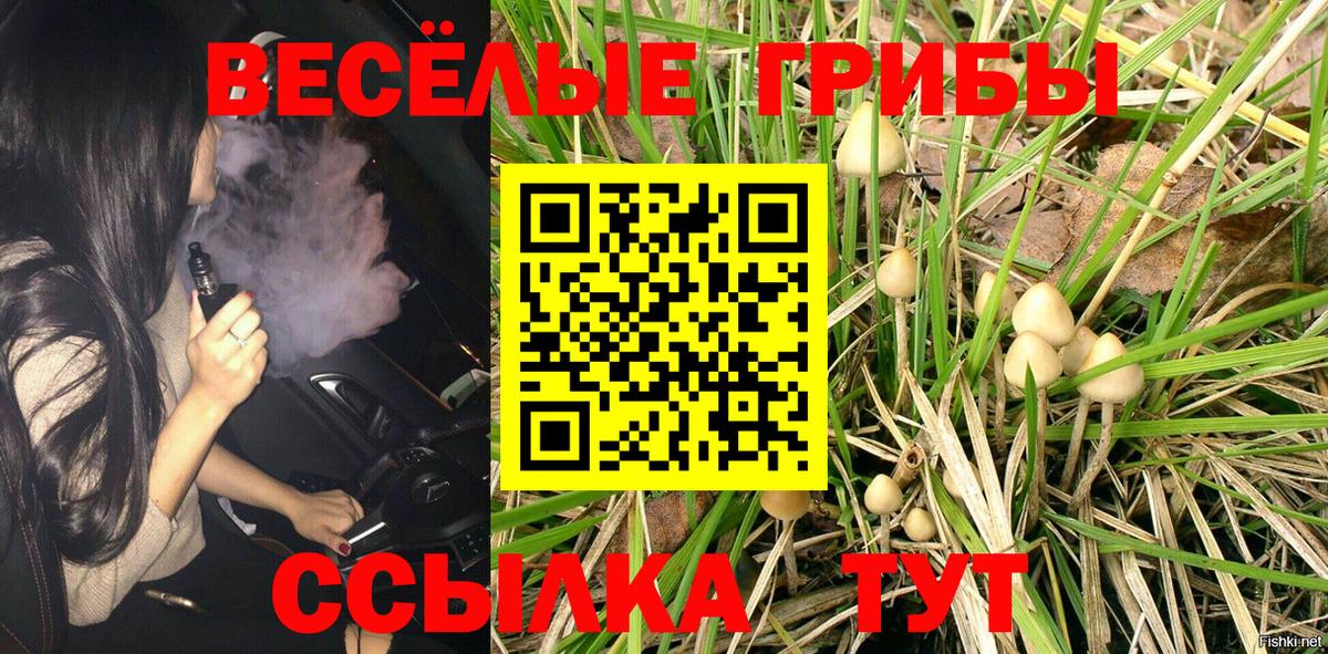 Псилоцибиновые грибы мицелий Благодарный