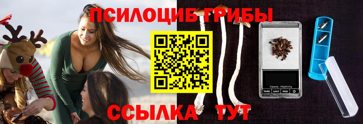 Благодарный  Псилоцибиновые грибы Psilocybe  Вход с VPN 