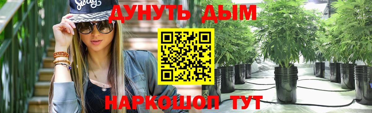 Шишки марихуана сатива  Бошки марихуана VHQ  Бошки марихуана SATIVA & INDICA  Вход с VPN  Благодарный 